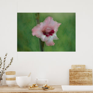 Pretty Pink Gladiolus Flower Art Poster
