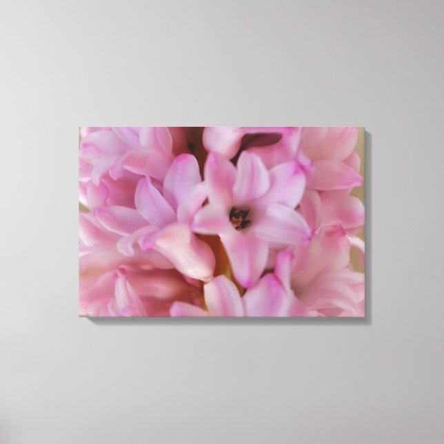 Pretty pink Hyacinth Spring Flower Canvas Art (Front)