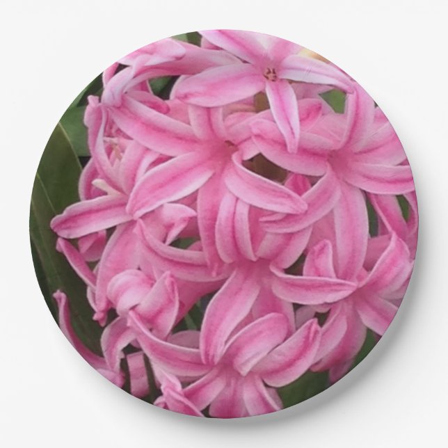 Pretty Pink Hyacinths Floral Paper Plates (Front)
