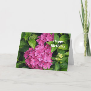 Pretty Pink Hydrangea Flowers Photo Birthday Card