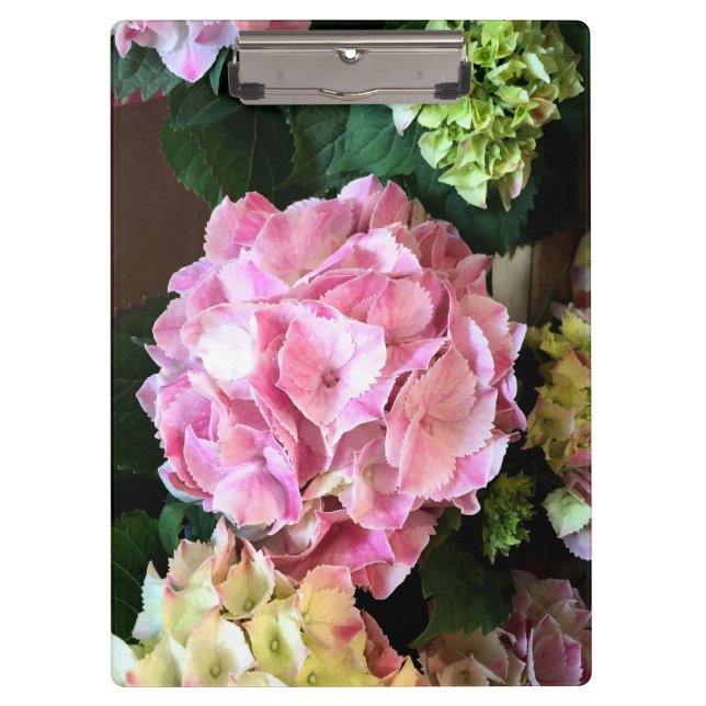 Pretty Pink Hygrangea Clipboard (Front)