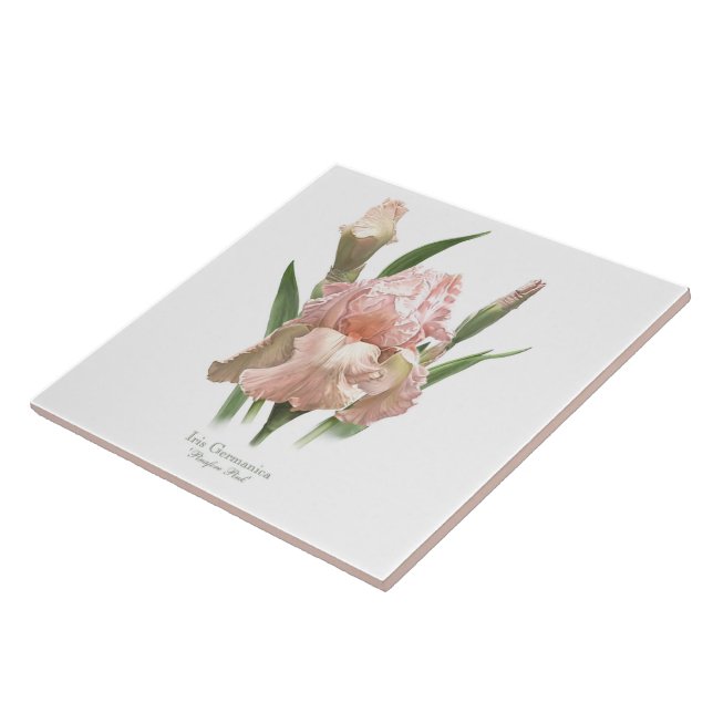Pretty Pink Iris Botanical Style Art Tile (Side)