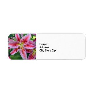 Pretty Pink Lily Floral Photo