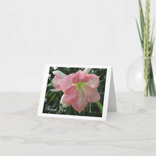 Pretty Pink Lily Thank You Card (Front)