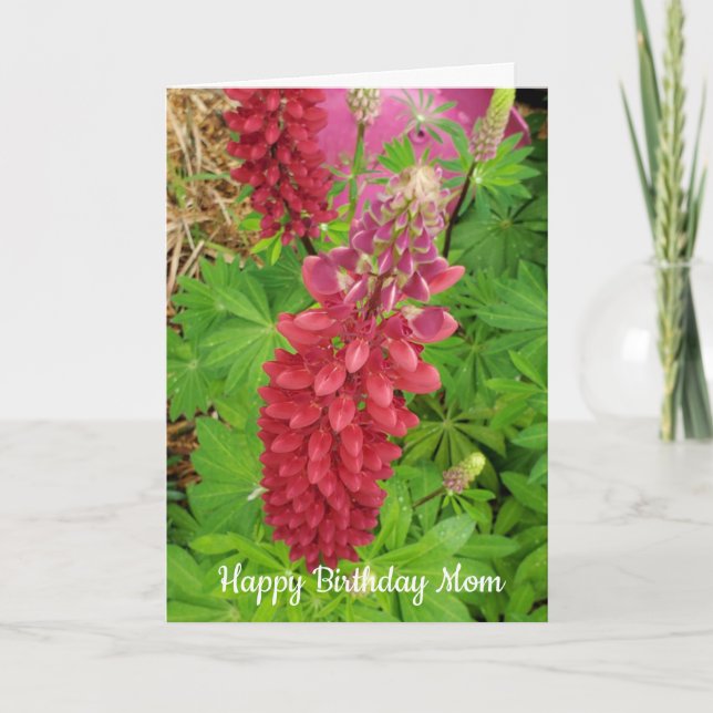 Pretty Pink Lupine Floral Mum Birthday Card (Front)