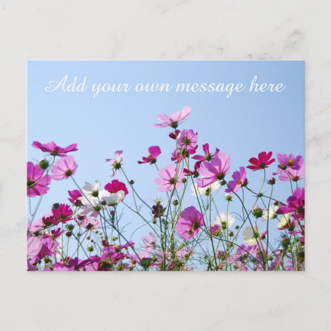 Pretty Pink Meadow Custom Message Postcard (Front)
