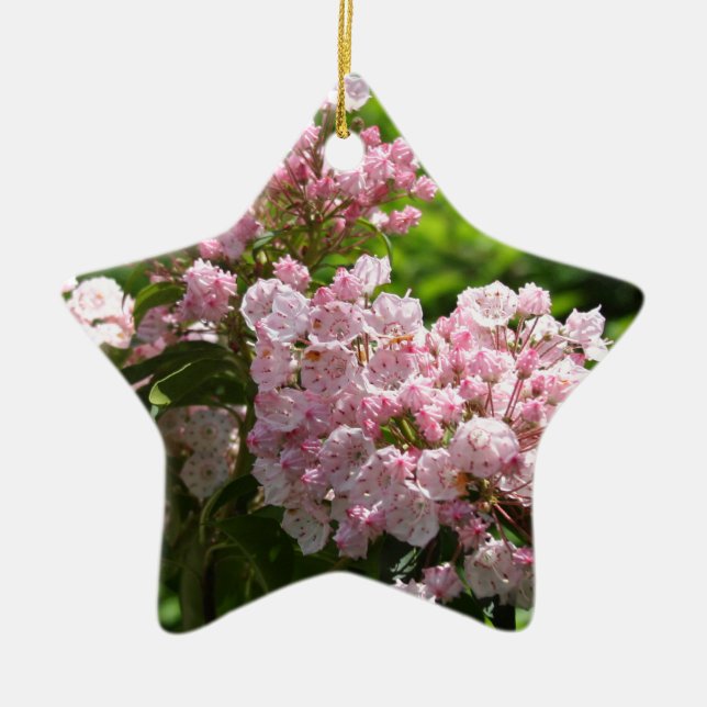 Pretty Pink Mountain Laurel Flowers Ceramic Tree Decoration (Front)