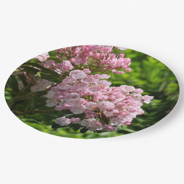 Pretty Pink Mountain Laurel Flowers Paper Plate (Angled)
