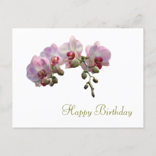 pretty pink orchid flowers happy birthday postcard