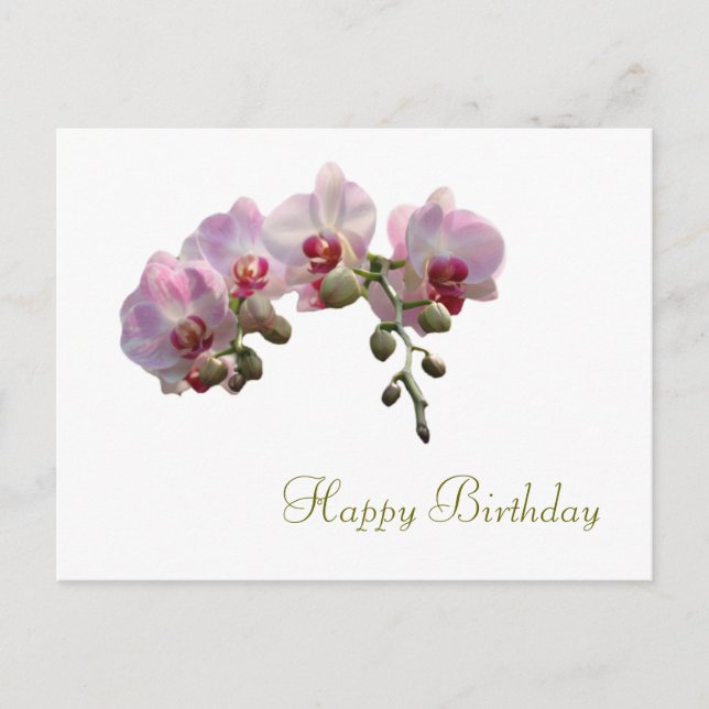 pretty pink orchid flowers happy birthday postcard (Front)