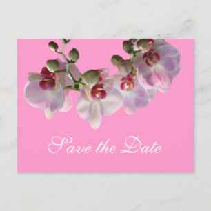 pretty pink orchid flowers pink save the date announcement postcard