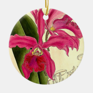Pretty Pink Orchid Vintage  Illustration  Ceramic Tree Decoration