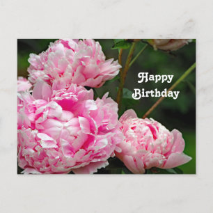 Pretty Pink Peonies Floral Photo Birthday Postcard