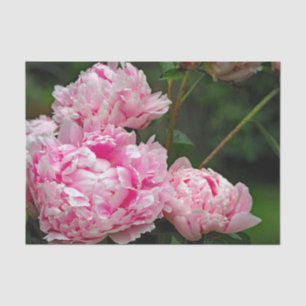 Pretty Pink Peonies Floral Photo Tissue Paper