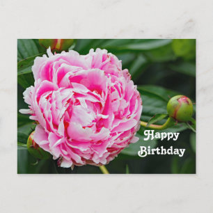 Pretty Pink Peony Floral Photo Birthday Postcard