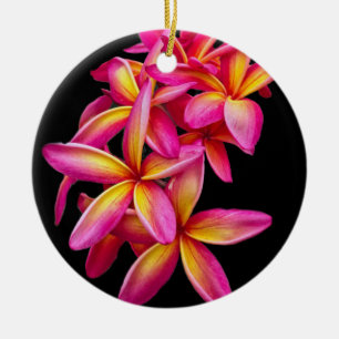 Pretty Pink Plumeria Floral Photo Ceramic Tree Decoration