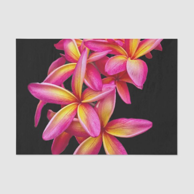 Pretty Pink Plumeria Floral Photo Tissue Paper (Front)
