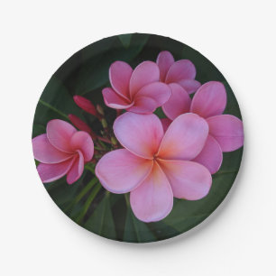 Pretty pink plumeria flower photo paper plate