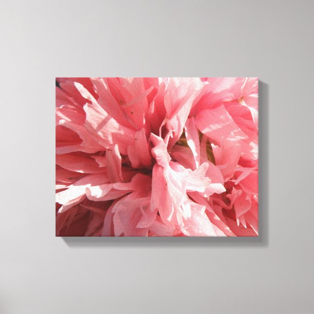 Pretty Pink Poppy Canvas Print (Front)
