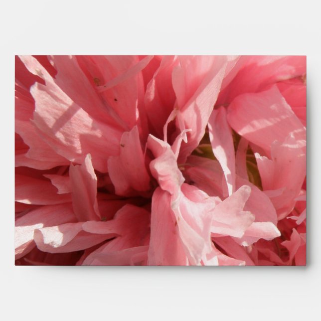 Pretty Pink Poppy Envelope (Front)