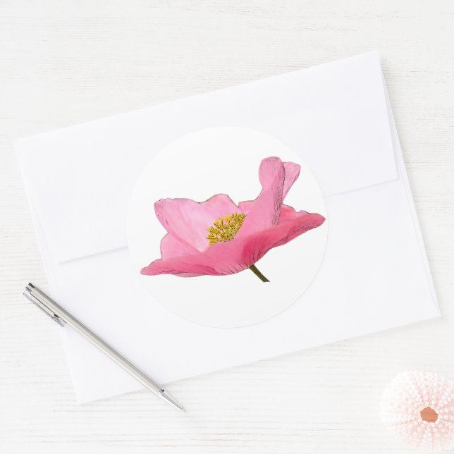 Pretty Pink Poppy Photograph Classic Round Sticker (Envelope)