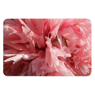 Pretty Pink Poppy Premium Magnet