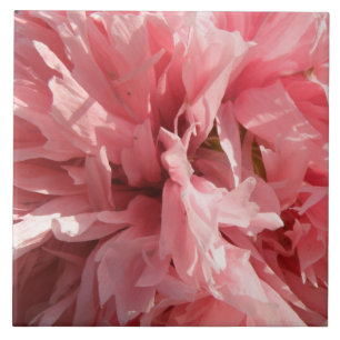 Pretty Pink Poppy Tile