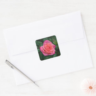 Pretty Pink Rose Art Sticker