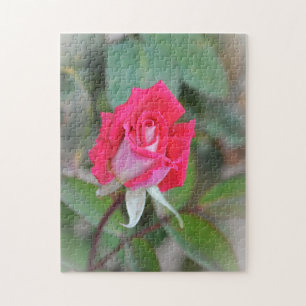 Pretty Pink Rose Bud Garden Art Puzzle