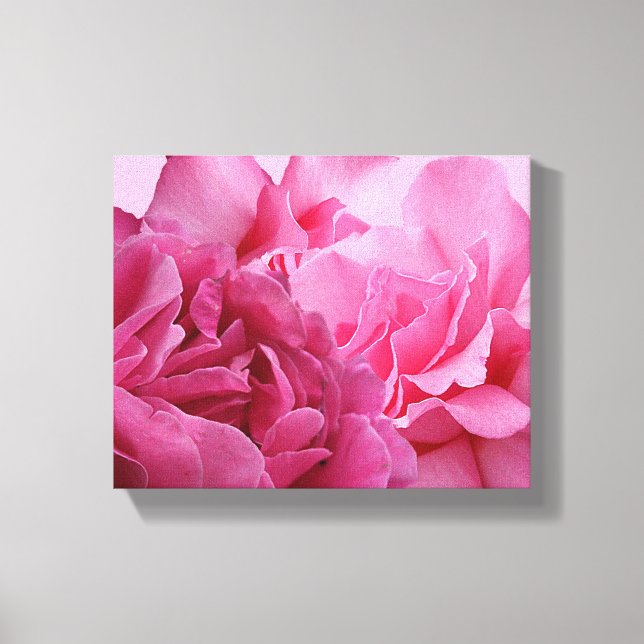 Pretty pink rose floral modern beautiful stylish canvas print (Front)