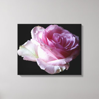 Pretty pink rose floral modern simple stylish chic canvas print