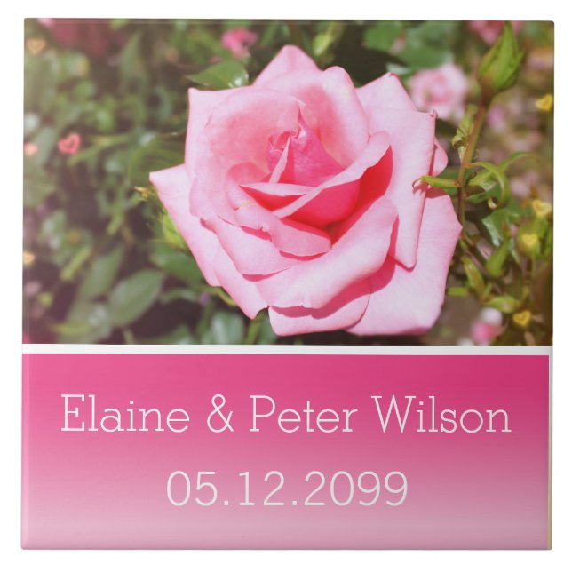 Pretty pink rose flower wedding anniversary tile (Front)