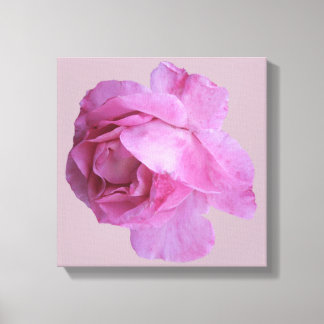 Pretty pink rose modern floral simple fine art canvas print