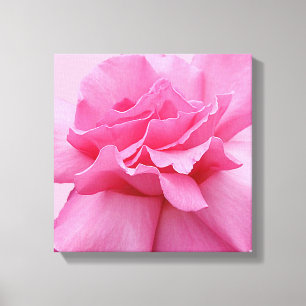 Pretty pink rose modern stylish abstract floral canvas print