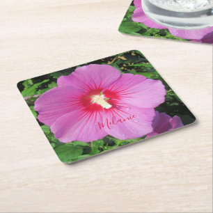 Pretty Pink Rose of Sharon Waterdrops Petals  Square Paper Coaster