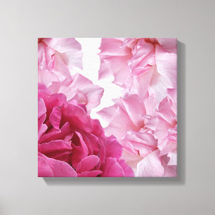 Pretty pink rose petal abstract floral stylish art canvas print