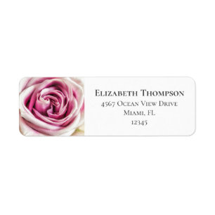 Pretty Pink Rose Photo Return Address