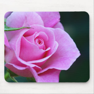 Pretty Pink Rose Photograph Mouse Mat