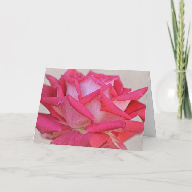 Pretty Pink Rose Photographic Art Note Card (Front)