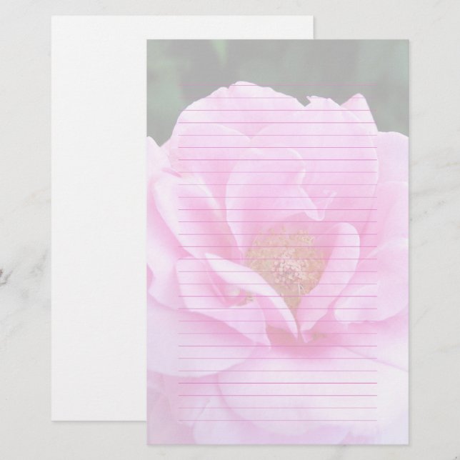 Pretty Pink Rose Romantic Lined Stationery Paper (Front/Back)