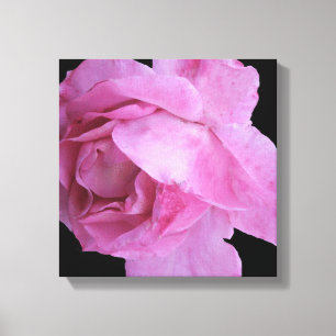Pretty pink rose simple modern stylish floral chic canvas print