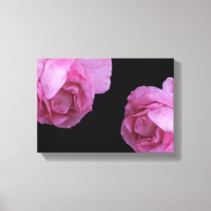 Pretty pink roses simple floral modern fine art   canvas print