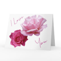 Pretty pink roses Valentine love beautiful floral