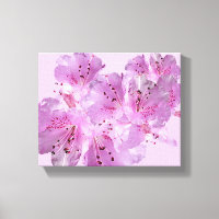 Pretty pink spring blossom floral beautiful modern