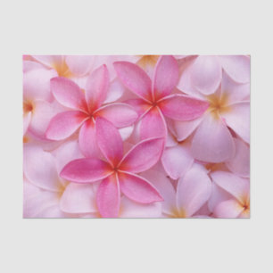 Pretty Pink Summer Flowers Tissue Paper