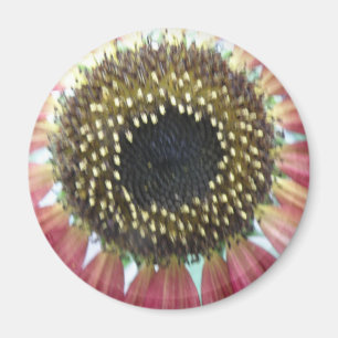 Pretty Pink Sunflower Magnet