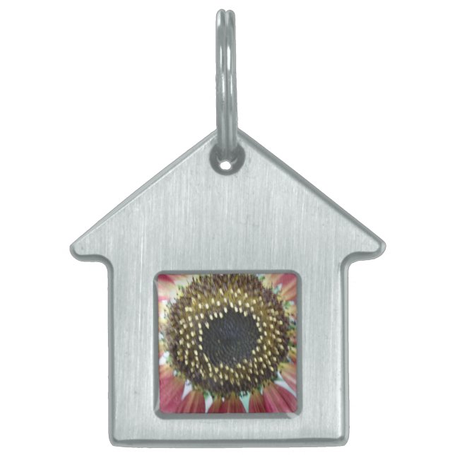 Pretty Pink Sunflower Pet Tag (Front)