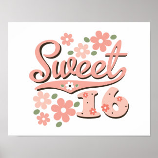 Pretty Pink Sweet 16 Poster Print