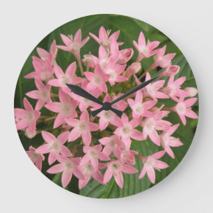 Pretty Pink Tropical Flowers Wall Clock