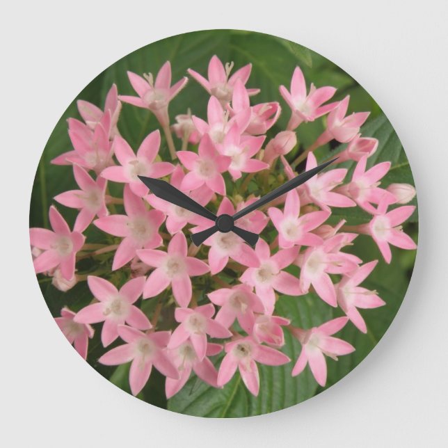 Pretty Pink Tropical Flowers Wall Clock (Front)